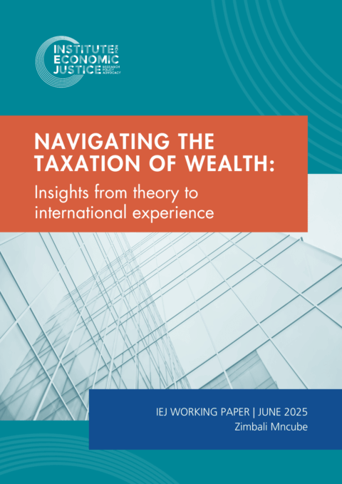 Navigating the Taxation of Wealth: Insights from theory to international experience